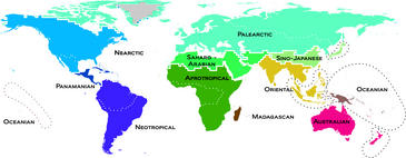 Mapa moderno de los vertebrados en el mundo