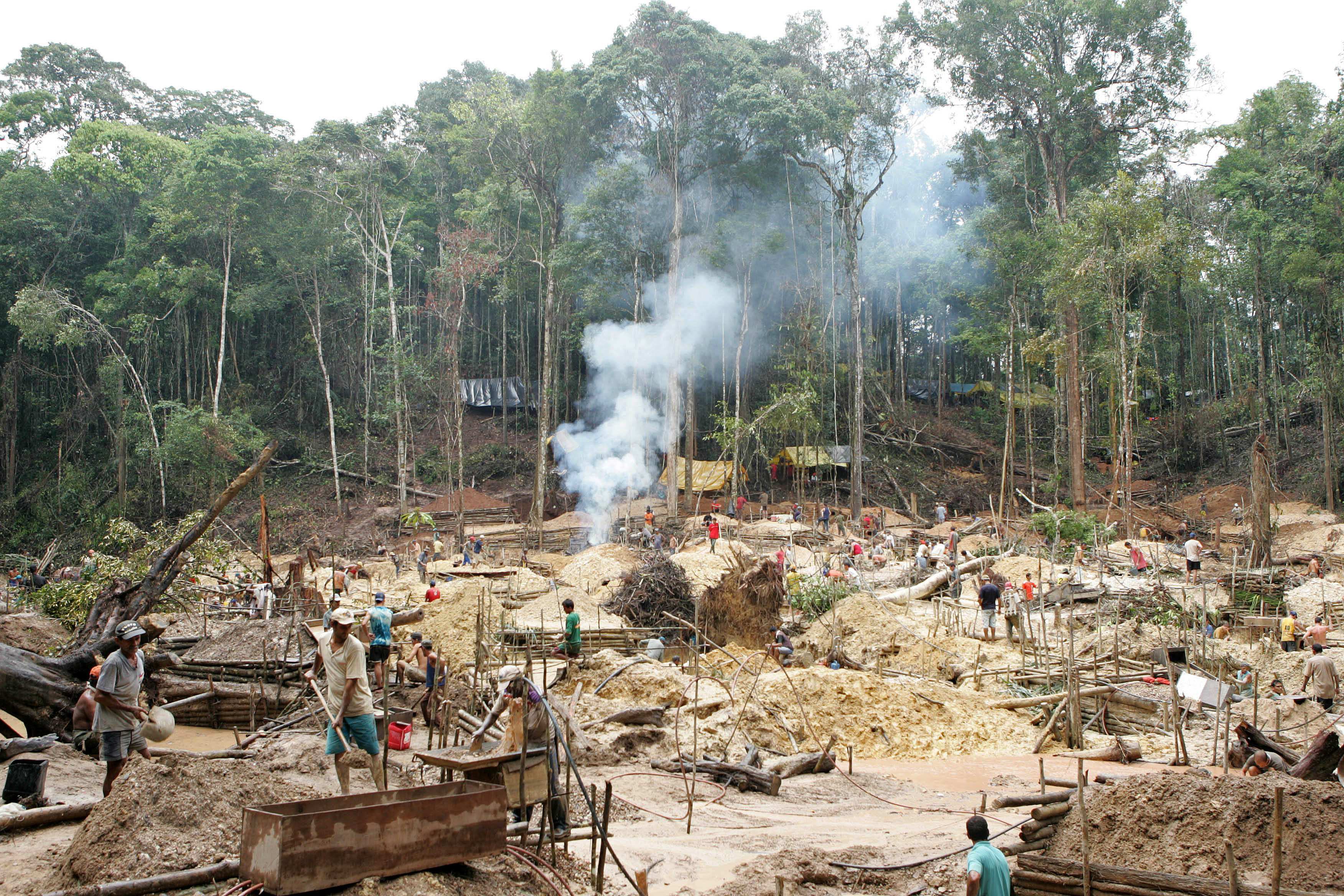 C Mo Reducir A La Mitad Las Emisiones De La Deforestaci N Tropical