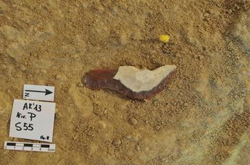 Descubren herramientas neandertales de hace 58.000 años en el Abric Romaní 