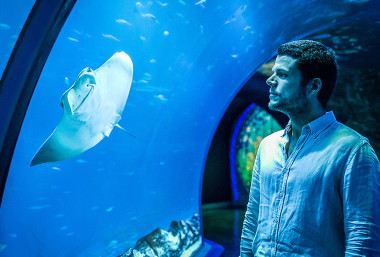<p>Nacho Dean en el <a href="https://www.atlantisaquarium-madrid.es/" target="_blank">Atlantis Aquarium de Madrid</a>. / Álvaro Muñoz Guzmán (SINC)</p>