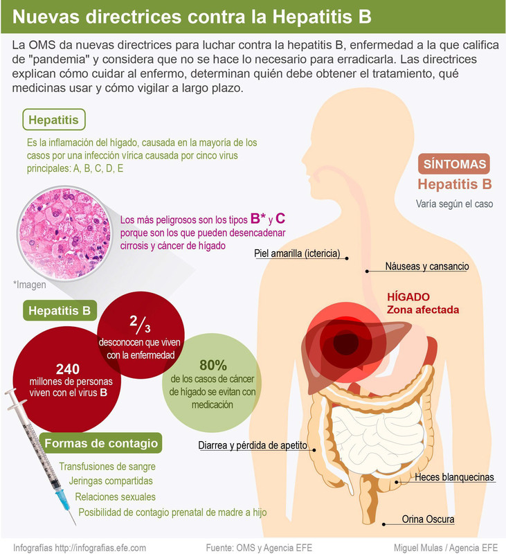 La OMS Crea Nuevas Directrices Para Luchar Contra La Hepatitis B ...