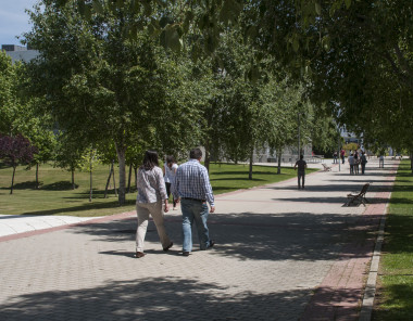<p>Aunque la mayoría de los afectados por esta patología reciben la recomendación médica de actividad física, tan sólo un 31% de ellos realizan alguna actividad / URJC</p>