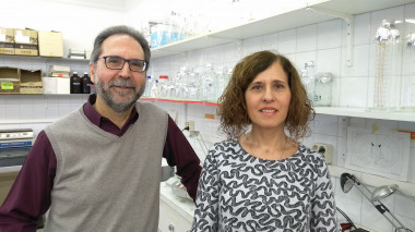 <p>Los investigadores de la UAB Antonio Armario y Roser Nadal. / UAB</p>
