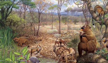 <p>Biota característica de la fauna de mamíferos de Norteamérica durante el máximo térmico del Paleoceno-Eoceno. / <a href="https://websites.pmc.ucsc.edu/~jzachos/pubs/Hothouse%20Earth.pdf" target="_blank">Aldo Chiappe</a></p>