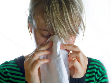<p>El modelo es capaz de producir estimaciones más precisas sobre brotes de gripe que cualquier otro método disponible, según los autores. / Sebastian Smit</p>