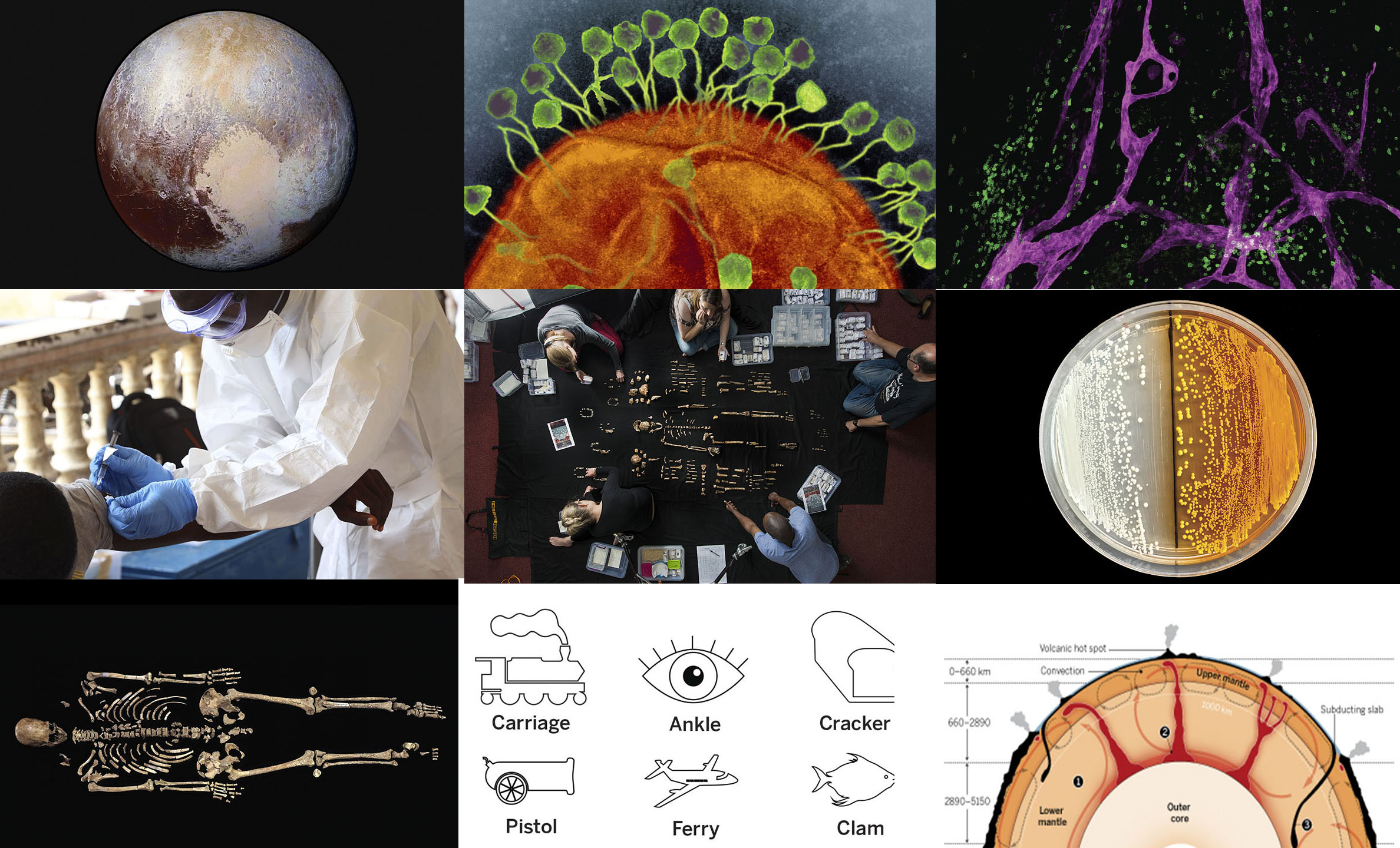 Lo Mejor De La Ciencia En 2015 Noticias Sinc 7453