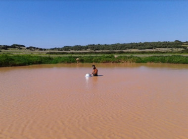 <p>Las balsas temporales de agua emiten CO2 durante todo el año / Biel Obrador (UB)</p>
