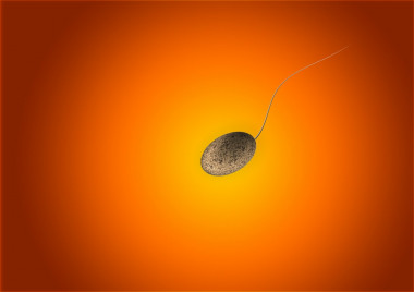 <p>El semen puede considerarse la biopsia líquida de los órganos del sistema reproductor masculino. / <a href="https://pixabay.com/es/illustrations/sperium-cum-esperma-oscuro-ganador-326157/" target="_blank">Pixabay</a></p>