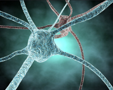 <p>Los investigadores han demostrado una nueva estrategia para bloquear la proteína que impide el crecimiento de los axones. / <a href="https://www.flickr.com/photos/juliendn/3347475063/in/photolist-66NFHi-5TpNDj-5Tktr2-5giagf-6fLQ4u-5J4uci-j3n9hE-75SmyS-4v1pXb-epqjXb-2WE92-8eisF6-efmaRg-8dvG3G-tPh5-4m9vic-q8n7e-7EAC3X-m93ET4-7ST91p-brous1-8jwa63-7gRf7M-8emKtG-7ST91r-5JiBVU-9VWTjy-a3vLiF-55wUVz-a4UhJa-boovFk-7PKSWh-9JCBMe-efrVcy-53JJbM-4JcJ4G-7gXAf1-bx1iPV-defPgj-6dVuFN-7gVQDj-8YVKFz-axSKMD-9ff4DS-bgjtDK-dPRs1W-bxvKyF-jxNK4h-gKzo2g" target="_blank">juliendn</a></p>