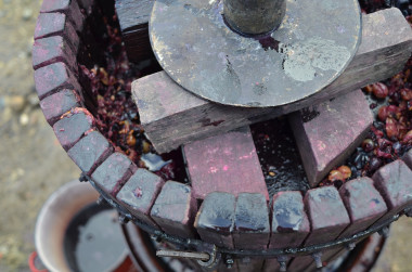 <p>Los residuos de la industria del vino constituyen una materia prima interesante para el biodiesel en países con una importante producción vinícola. / Pixabay</p>