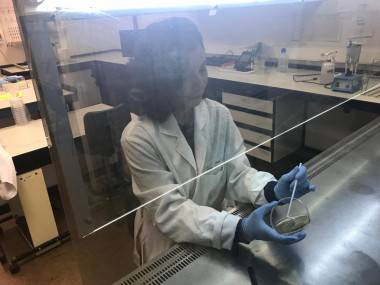 <p>La doctora Aricia Possas, coautora del estudio, en el laboratorio. / UCO</p>