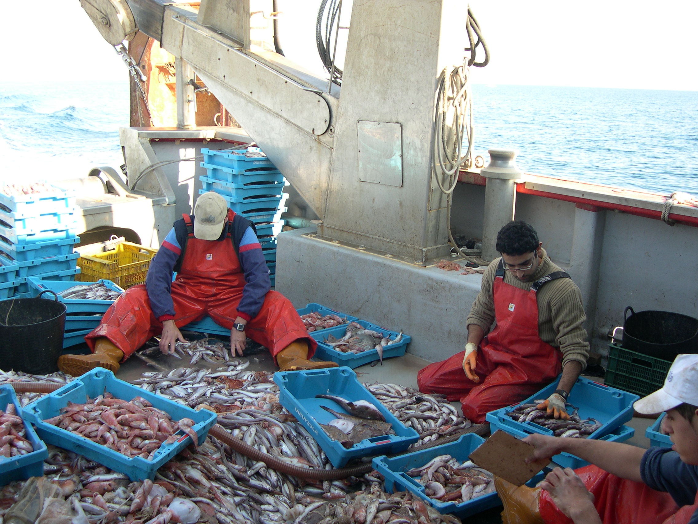 Que Es La Pesca De Arrastre Pesca Información 5695