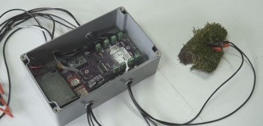 <p class=" text-left">El dispositivo <em>BtM datalogger</em> permite cuantificar la actividad de musgos y líquenes. / UAM</p>