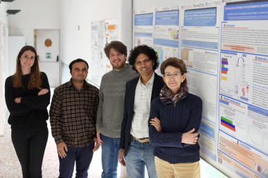 <p>Equipo investigador de la Universidad Rovira i Virgili. / URV</p>