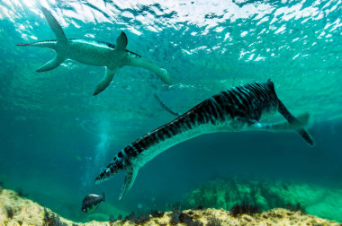 <p>Los leptoclÃ©ididos, cuyos restos se han encontrado por primera vez en la penÃ­nsula ibÃ©rica, eran plesiosaurios mÃ¡s pequeÃ±os y de cuello mÃ¡s corto que vivÃ­an en aguas poco profundas. / <a href="https://www.agenciasinc.es/En-exclusiva/PROGRAMADOS/Leptocleididos-en-la-peninsula-iberica" target="_blank">JosÃ© Antonio PeÃ±as</a></p>