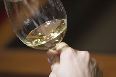 <p>Cata de vino. / DICYT</p>